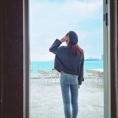 岛语plus User Photo