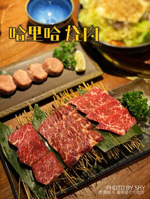 ha li ha · hei niu si chu ( gou wu gong yuan dian )