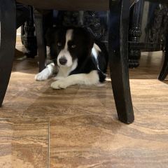梁记粥铺(潜江第一店) User Photo