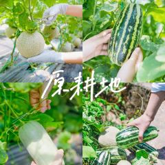 果园镇鑫韬家庭农场 User Photo