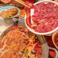 福德喜老火锅(郑州旗舰店) User Photo