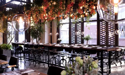 Peking Garden