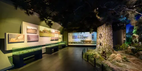 松陽博物館