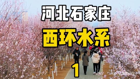 #春天來啦 石家莊春遊賞花地圖 石家莊&middot;河北