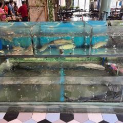 渔鲜阁 User Photo