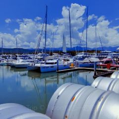 Hemingway's Brewery FNQ 여행 사진