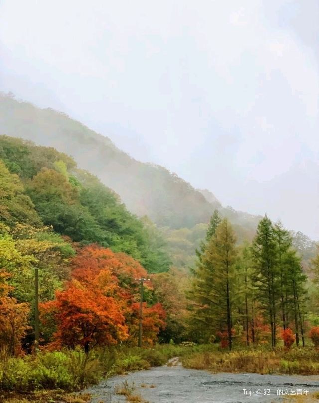 양호구