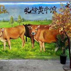 北嶺黃牛館張用戶圖片