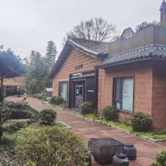 联盟滋味黄莲树下 User Photo