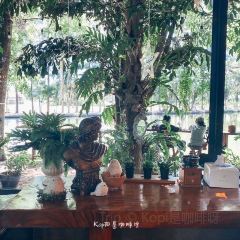 Tree Shade User Photo