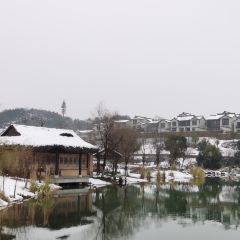 Qian Li Zou Dan Ji (Mogan Creek Valley Store) · Dao Xiang Restaurant User Photo