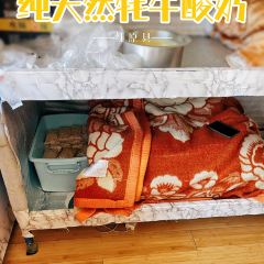 纯天然牦牛酸奶 User Photo