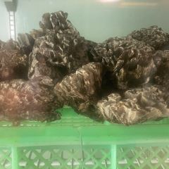 山菌美食苑(振兴路店) User Photo