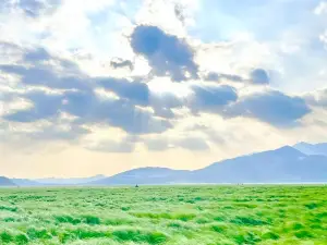 Wunian Island, Poyang Lake Prairie Scenic Area