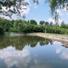 Xinlongshengtaiyuan User Photo