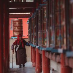 川主寺張用戶圖片