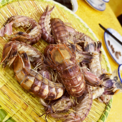 集家旺餐厅(银湖湾店) User Photo