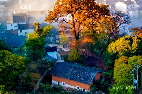 ShiCheng
