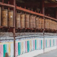 川主寺張用戶圖片