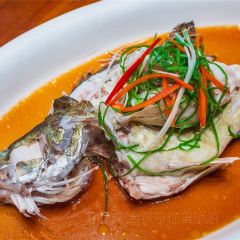 Wanshifajiujia CCTV shangbangyuyan User Photo