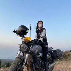 WU ZHI LING DA WAN CAI User Photo