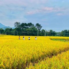 黄花镇银峰农庄 User Photo