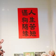 柴犬食堂(元帅路店) User Photo