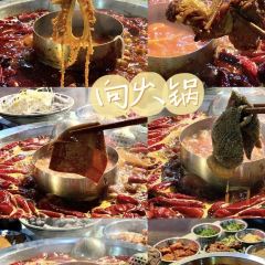 秋十面包店張用戶圖片