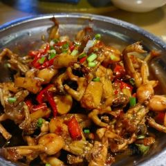 琴園酒家張用戶圖片