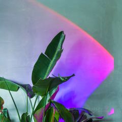A Garden User Photo