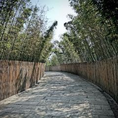 Qian Li Zou Dan Ji (Mogan Creek Valley Store) · Dao Xiang Restaurant User Photo