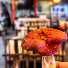 Baihuoling Mushroom King Mansion User Photo