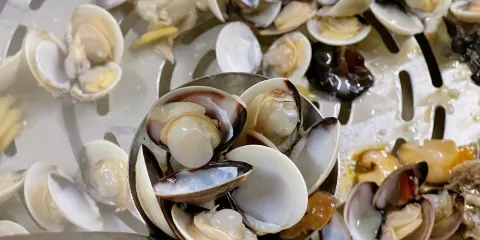漁文樂農莊