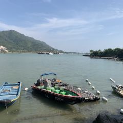 桂港海鮮城張用戶圖片