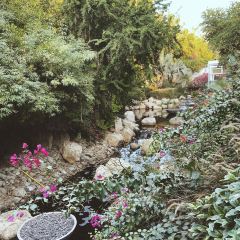 The Farm Restaurant, Al Barari User Photo