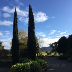 Wine Bar Restaurant @ Yering Station User Photo