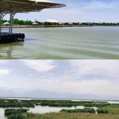 Shahu Dandan House B&B Dandan House Terrace Restaurant User Photo