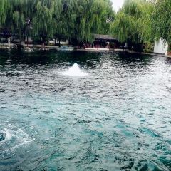梦里老家(曲阜市教育局西) User Photo
