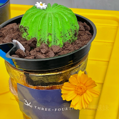 THREE-FOURTHS COFFEE四分之三咖啡館張用戶圖片