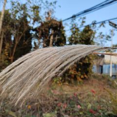 梅峰饭店 User Photo