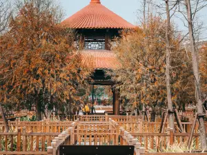 Wuyuan Bay Wetland Park