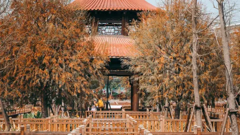 Wuyuan Bay Wetland Park attraction in Xiamen