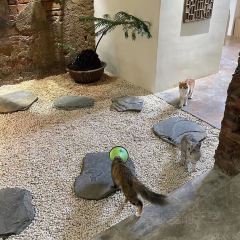 肆喜SPACE餐厅 User Photo