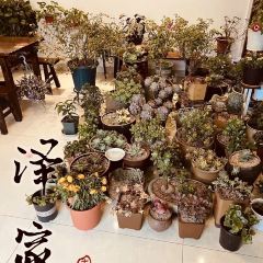 泽家·花园餐厅(十年的店) User Photo