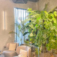 Green House·绿境花园餐厅 User Photo