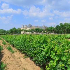 龙谕酒庄·餐饮部 User Photo