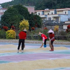 正宗高流河饭店原创风姜鸡 User Photo