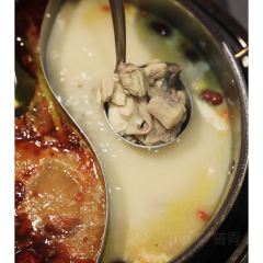 好彩猪肚鸡(中原万达店) User Photo