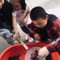 LOBSTER MONSTRE 여행 사진