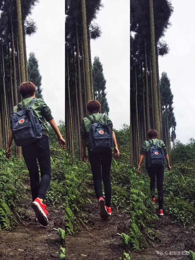 지관산